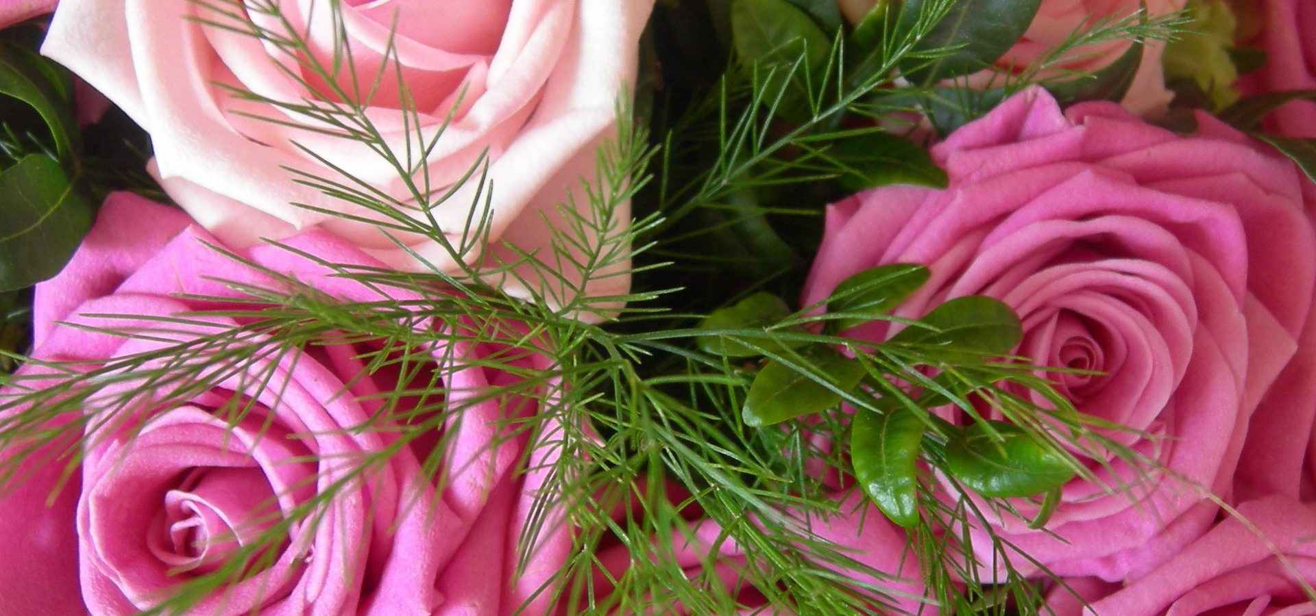 Troyes la romantique