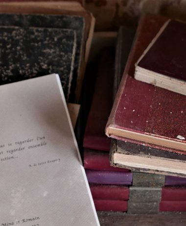 Troyes la ville du roman