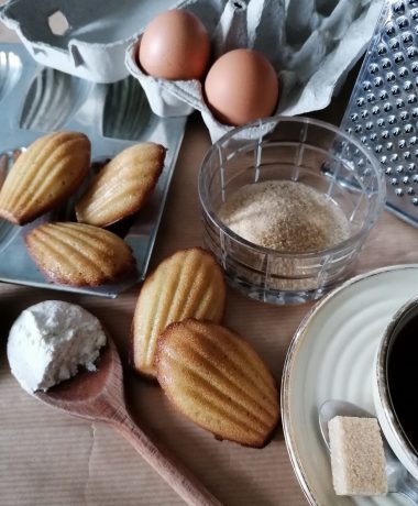 Les Madeleines de Léonie Aviat