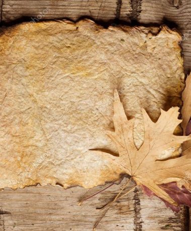 Le premier papier « made in France »