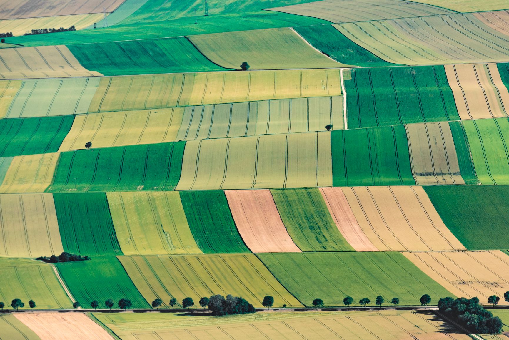 A la croisée des Champagnes Auboises
