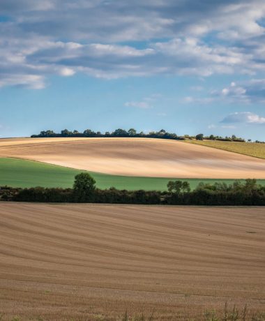 Entre plaine et plateau Barrois