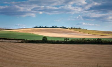 Entre plaine et plateau Barrois
