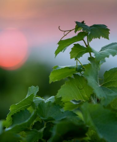 Entre 5 et 10 km de Troyes