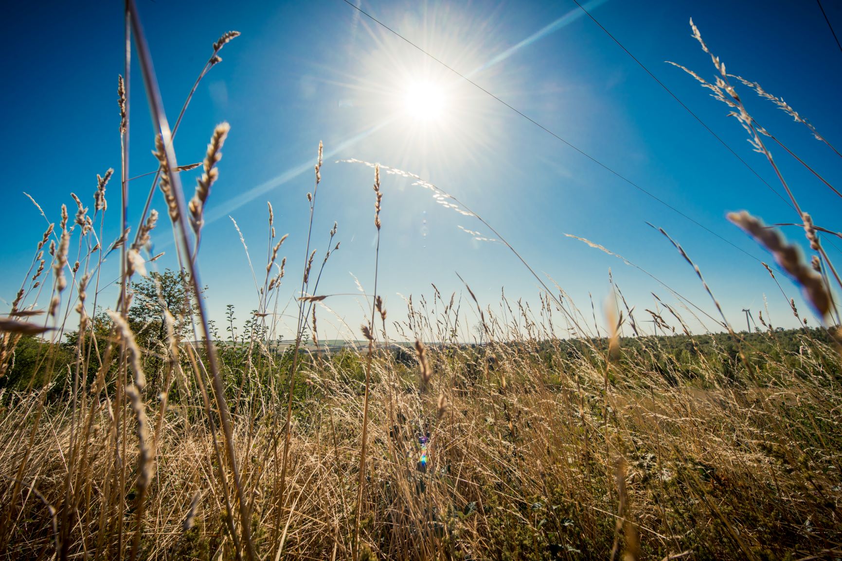 La marque « Troyes La Champagne »