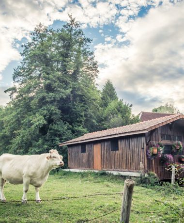 Autour de Troyes La Champagne – Les incontournables
