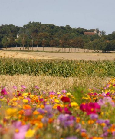 La réglementation dans l’Aube