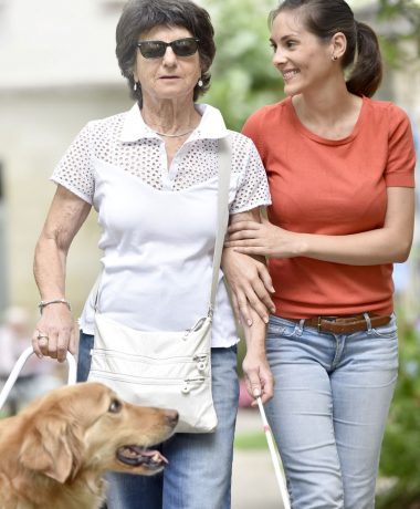 Accueil des personnes en situation de handicap