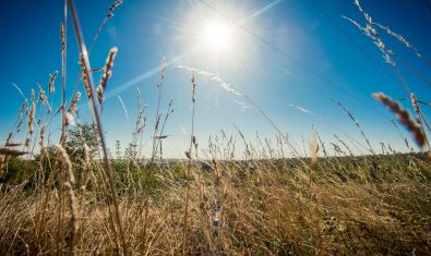 Un P’tit Air de Normandie