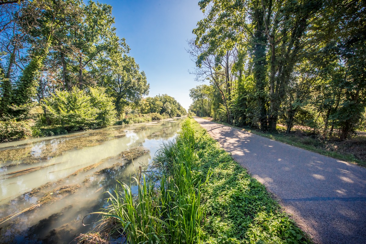 Sorties Nature en Champagne
