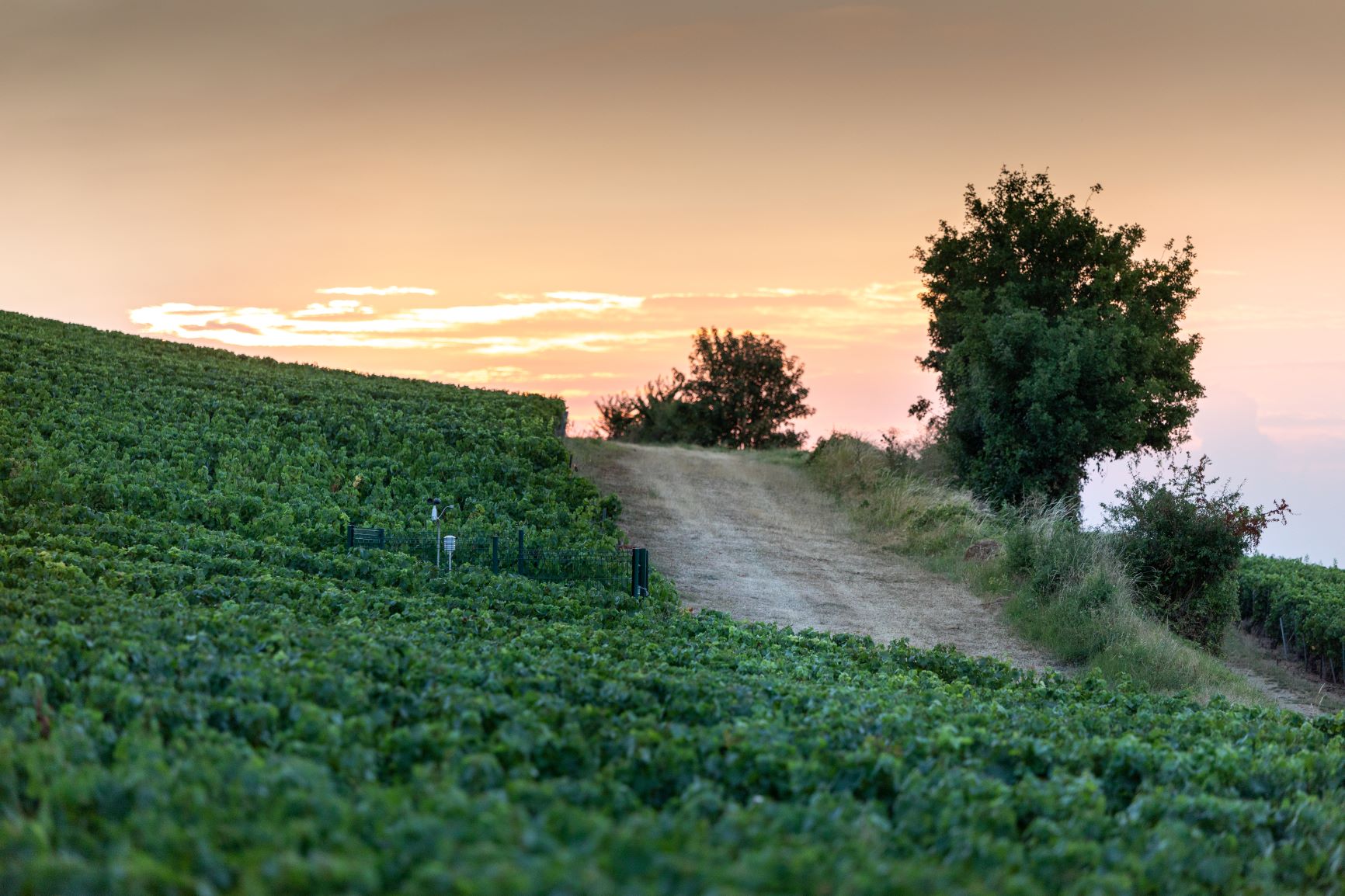 Les Routes Terres & Vignes et Gîtes