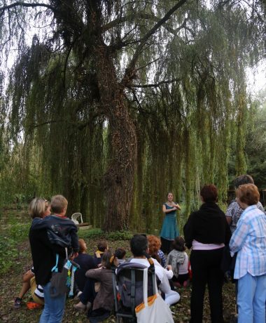 Contes et Nature pour respirer la forêt et les plantes !