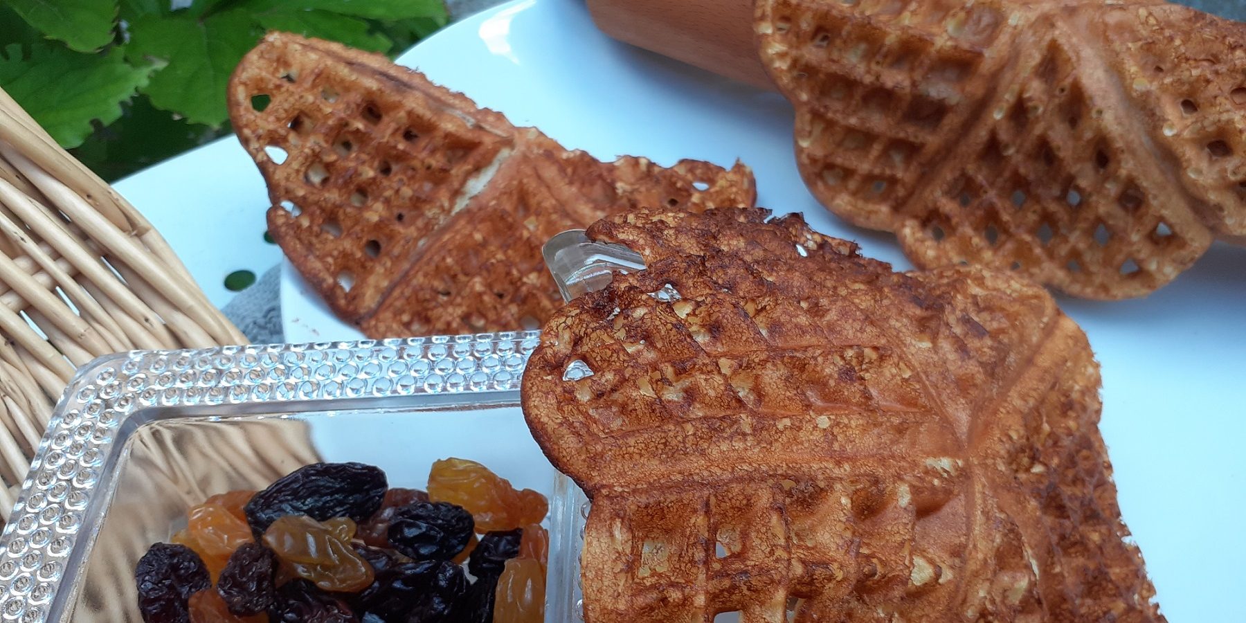 Les Oubliès de Rachi