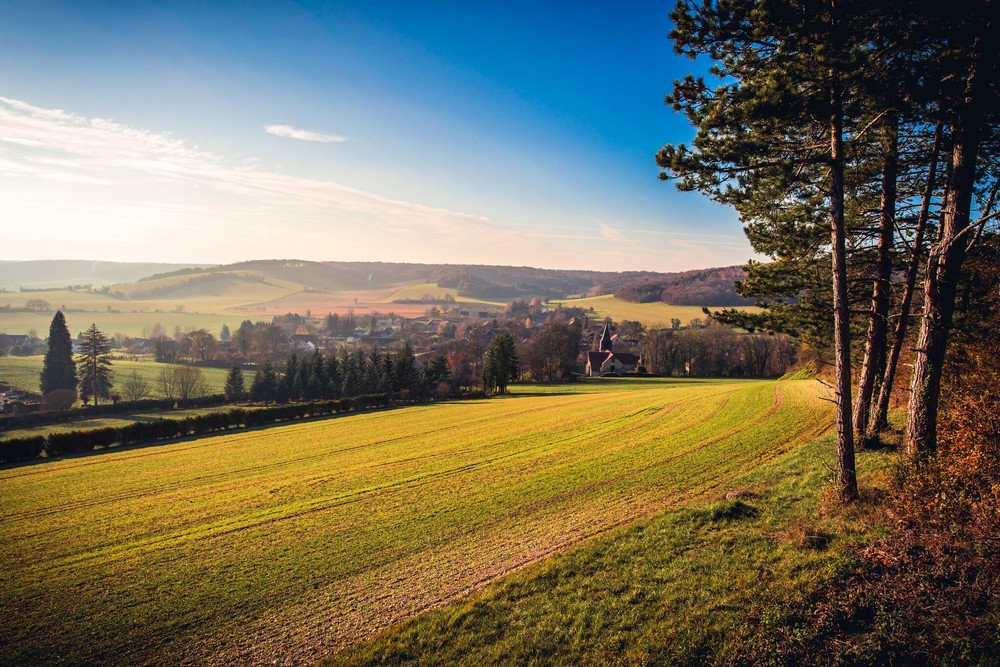 Un univers graphique