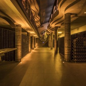 S’évader « clé en main » et savourez l’authenticité du Champagne de Troyes à la Côte des Bar !