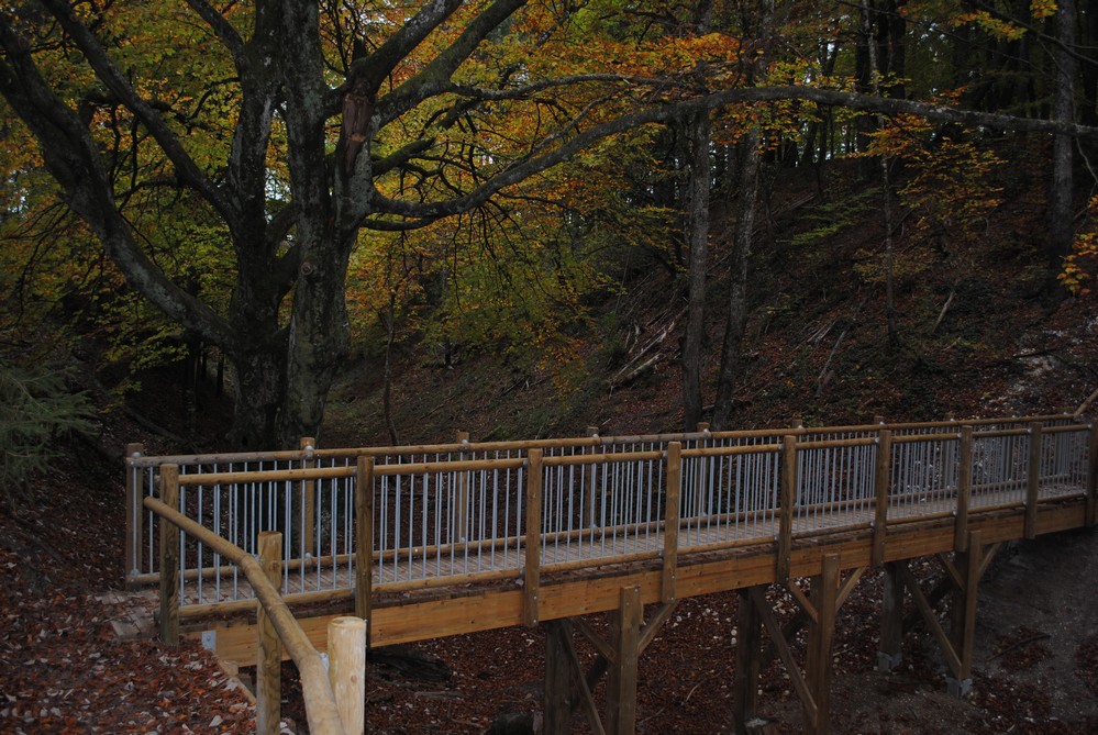 Montaigu, c’est fort