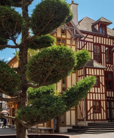 Les démarches éco-responsables