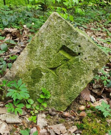 La randonnée pédestre