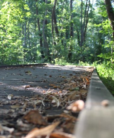 Côté spiritualité