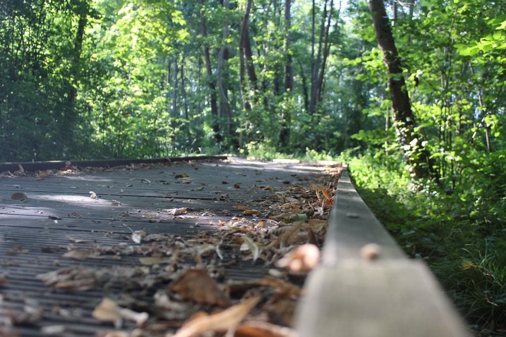 Côté spiritualité