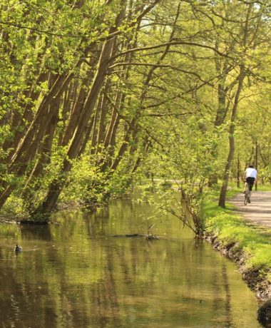 Côté sport et bien-être