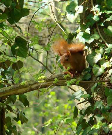« Les espaces de nature de Troyes Champagne Métropole ».