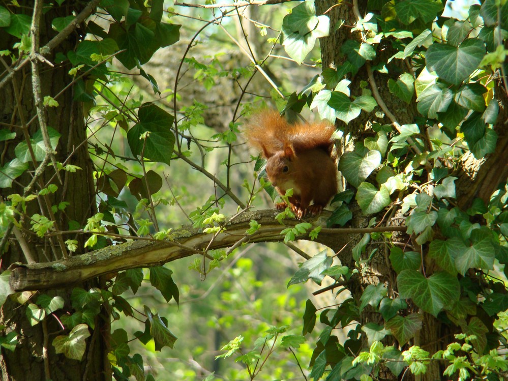 « Les espaces de nature de Troyes Champagne Métropole ».