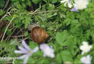 Parc Lebocey - Pont-Sainte-Marie
