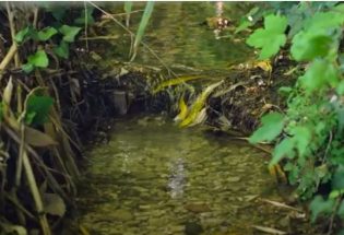  Parc de la mairie et sentiers des Merlettes - Clérey 