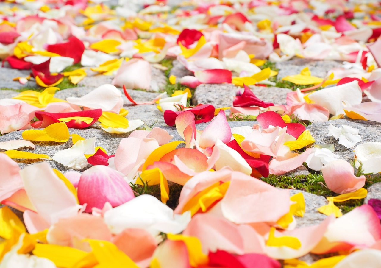 Faites de Troyes la romantique le théâtre de votre demande en mariage