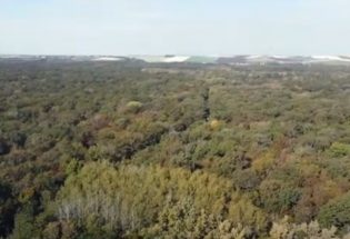 Forêt d'Orient - Historique et charte forestière - Partie 1