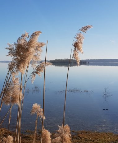 Troyes et le lac d’Orient