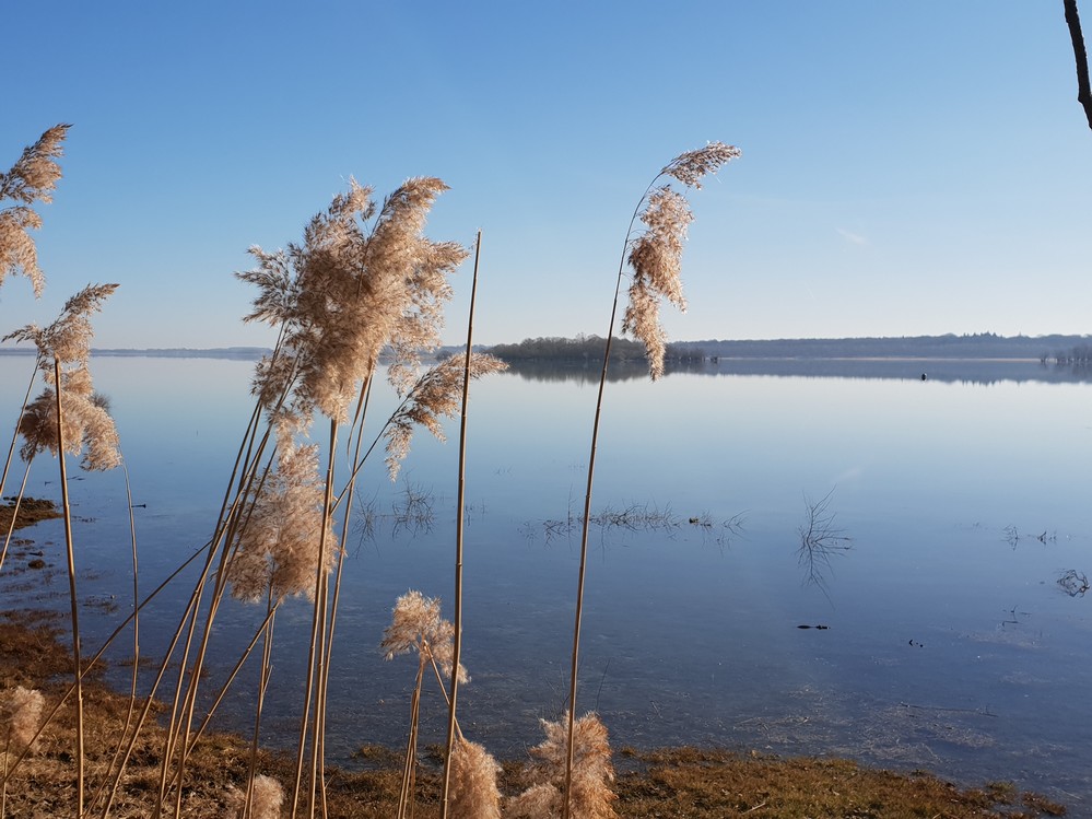 Troyes et le lac d’Orient