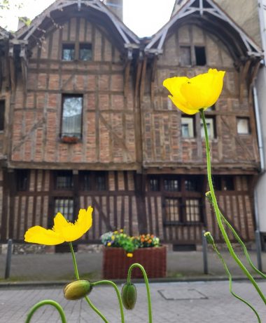 La qualité à votre service!