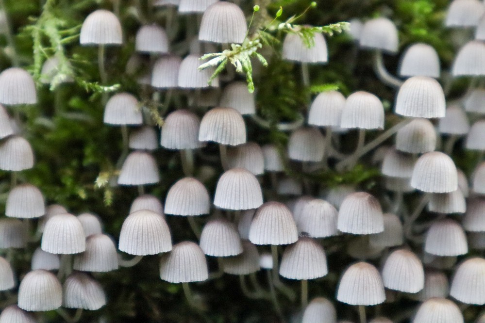 Troyes Champagne Métropole – Rapport annuel Développement durable