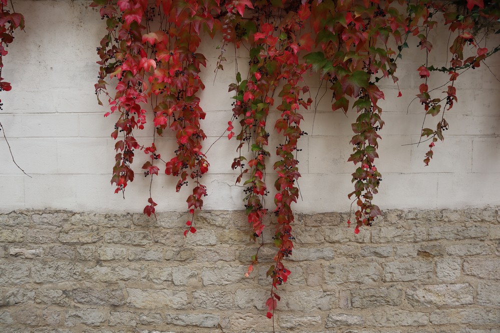 Les engagements de Troyes La Champagne Tourisme au quotidien