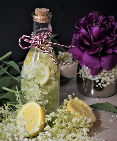 Un vieil ami au cœur tendre