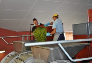 Champagne Alexis Saint Aude