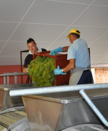 Champagne Alexis Saint Aude