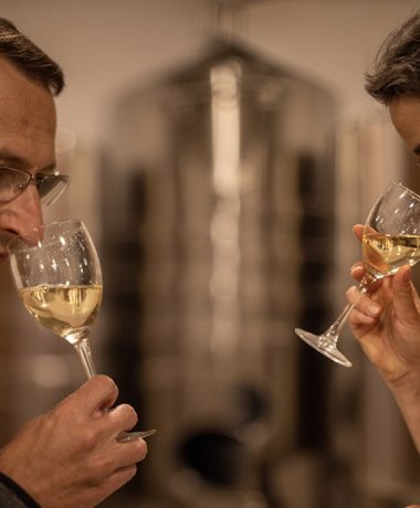 Champagne Olivier Lassaigne