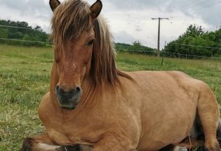 Clara Gouin - Troyes La Champagne Tourisme