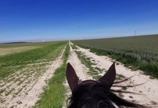 Clara Gouin - Troyes La Champagne Tourisme