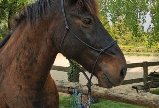 Clara Gouin - Troyes La Champgne Tourisme