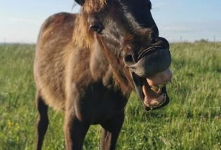 Clara Gouin - Troyes La Champgne Tourisme
