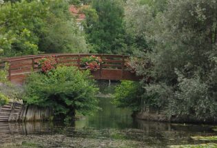 Parc Pierre Pitois