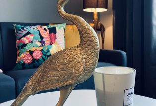 © La bulle des Viennes