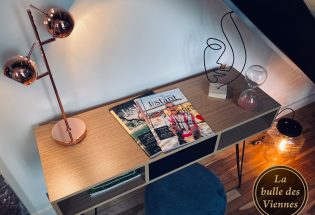 © La bulle des Viennes