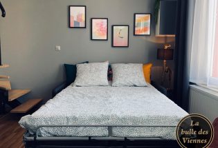 © La bulle des Viennes