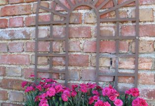 Le Gîte de la Plaine