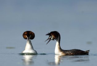 © Gîtes de France Aube
